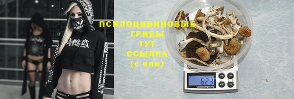 МДПВ Балахна
