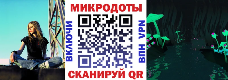 закладки  Городец  Псилоцибиновые грибы ЛСД 